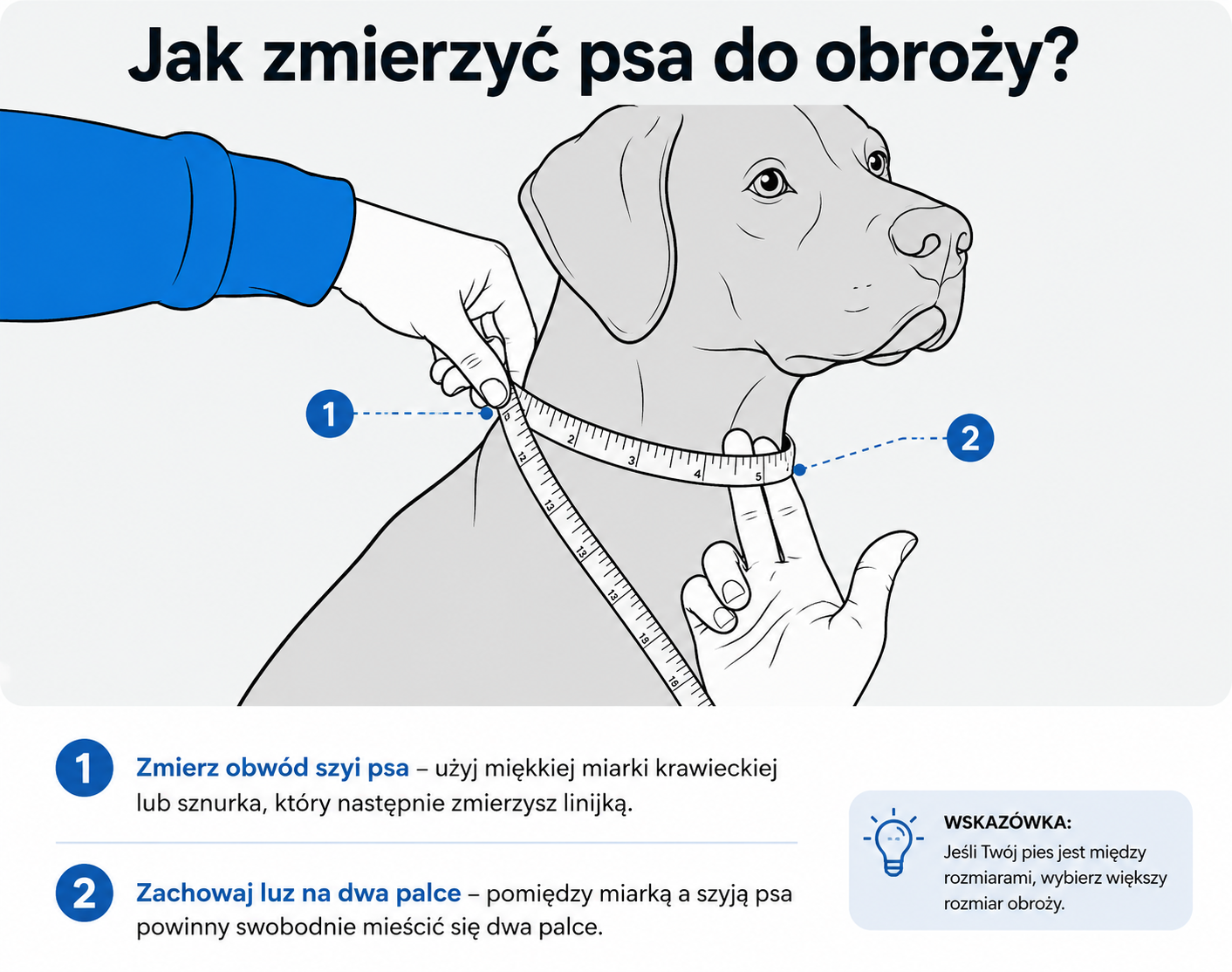 jak mierzyć psa aby dobrać obroże