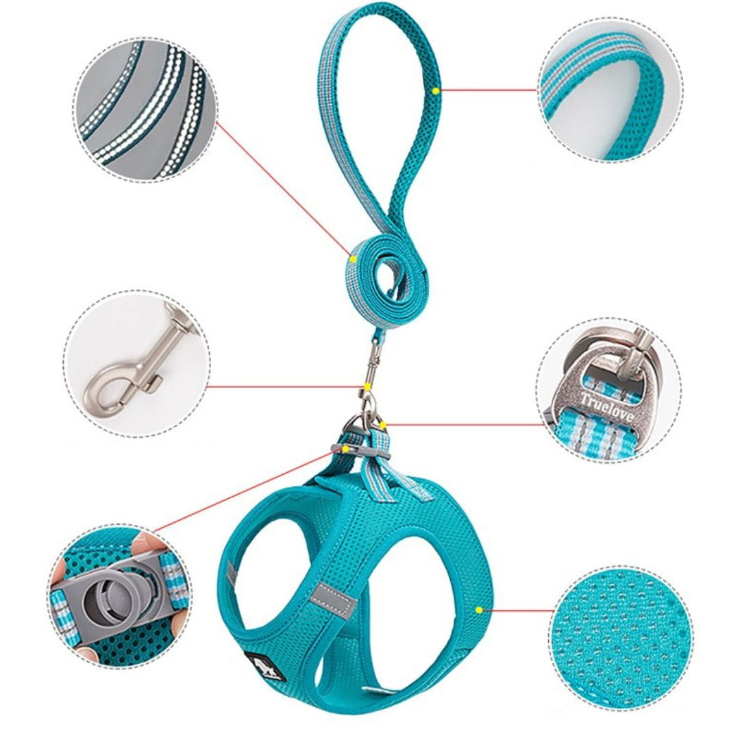 zestaw szelki step-in walk-in smycz Truelove Mini Mesh niebieskie siateczka MESH odblask pies kot